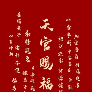 我的相册