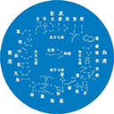 〖七政四余 - 果老星宗〗