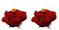 09090320115741d07f51401c3a.gif