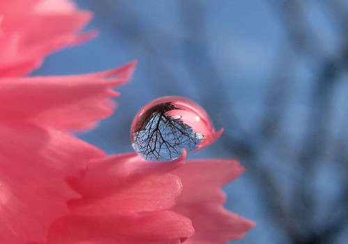 水珠 (2).jpg