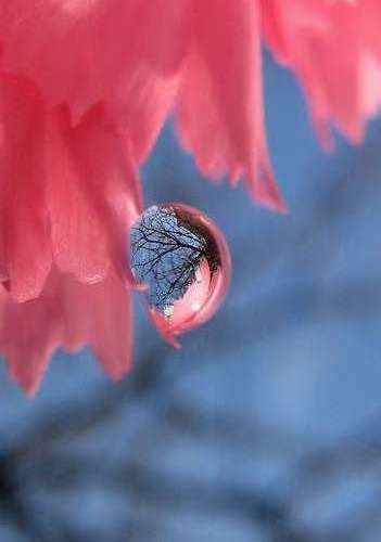 水珠 (3).jpg