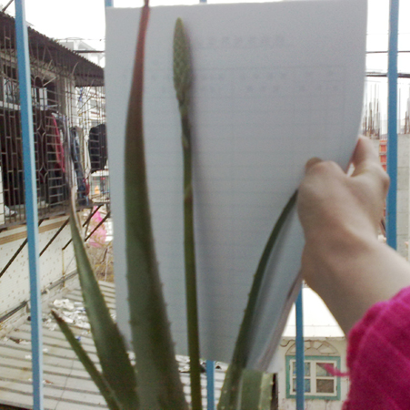 20110312511.jpg