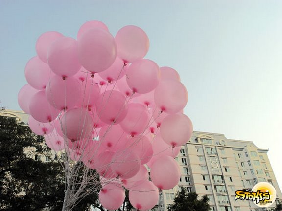 05021S23012.jpg