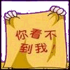 你看不到我.gif