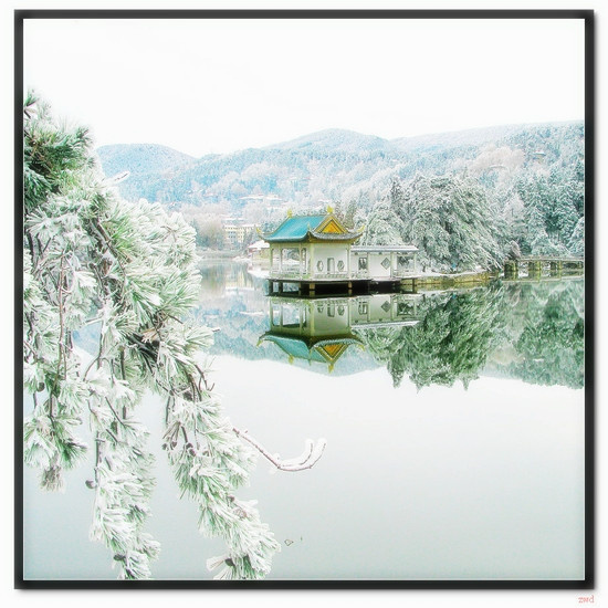 附雪景美图一张~