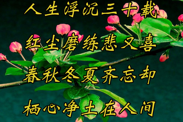 未标题-1.jpg