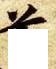道 - 6.JPG