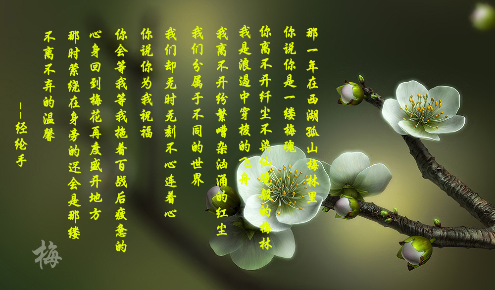 1 拷贝1.jpg