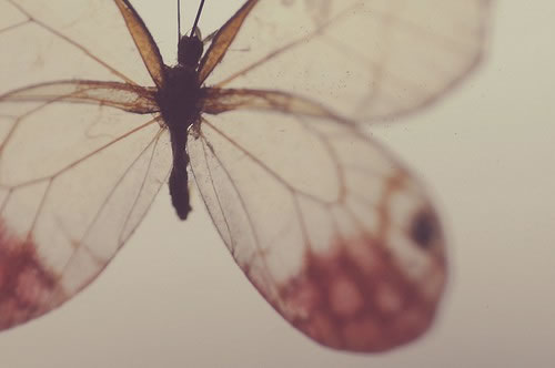 eab54569418fd0c7a5ee8aa6107d6507.jpg