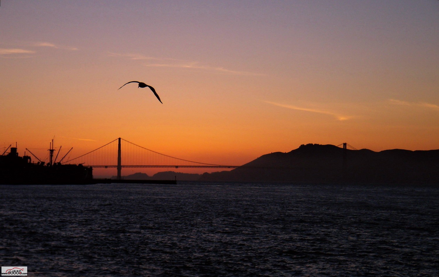 20080116112131417[1].jpg