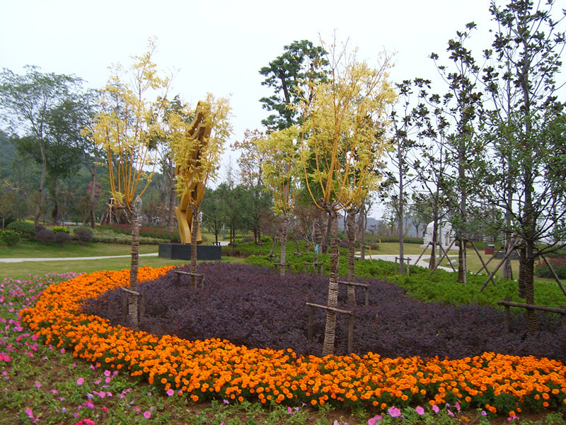 S冬景.jpg