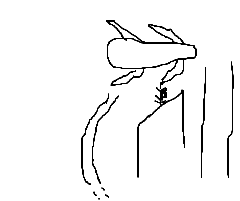 landing6