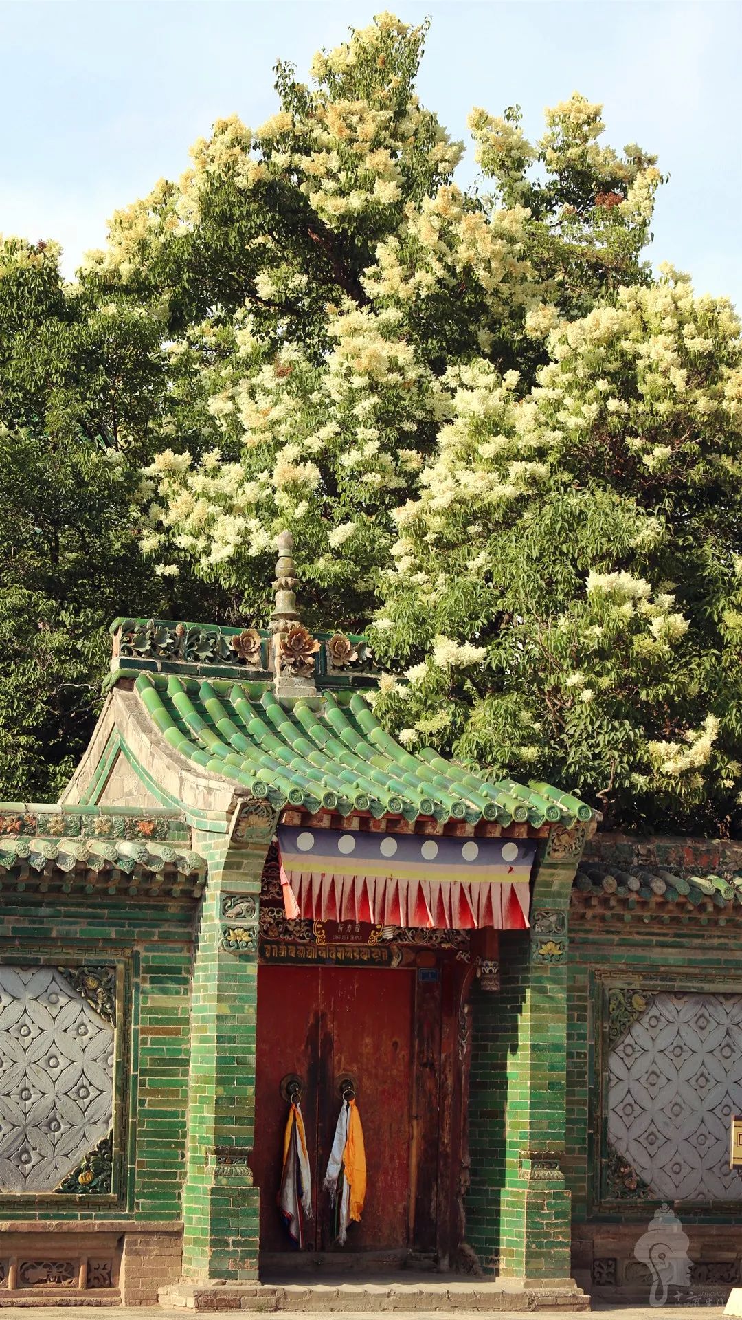 花寺.jpg