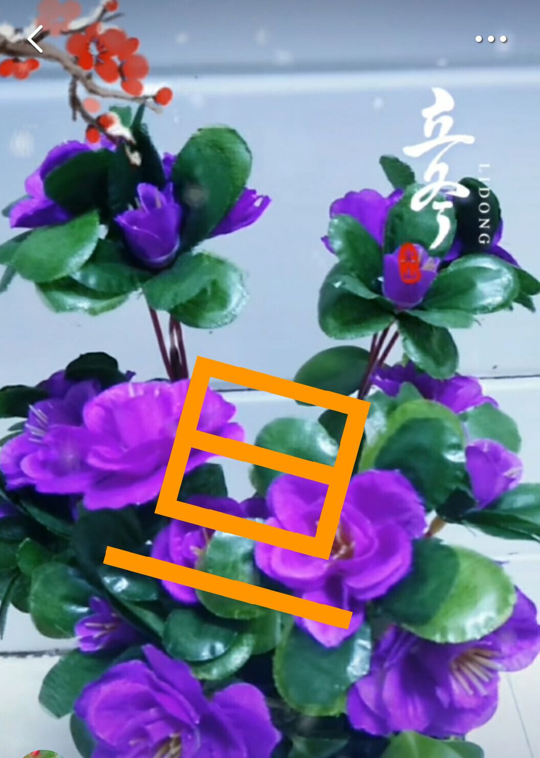 4edcad1e35c4f62b.jpg