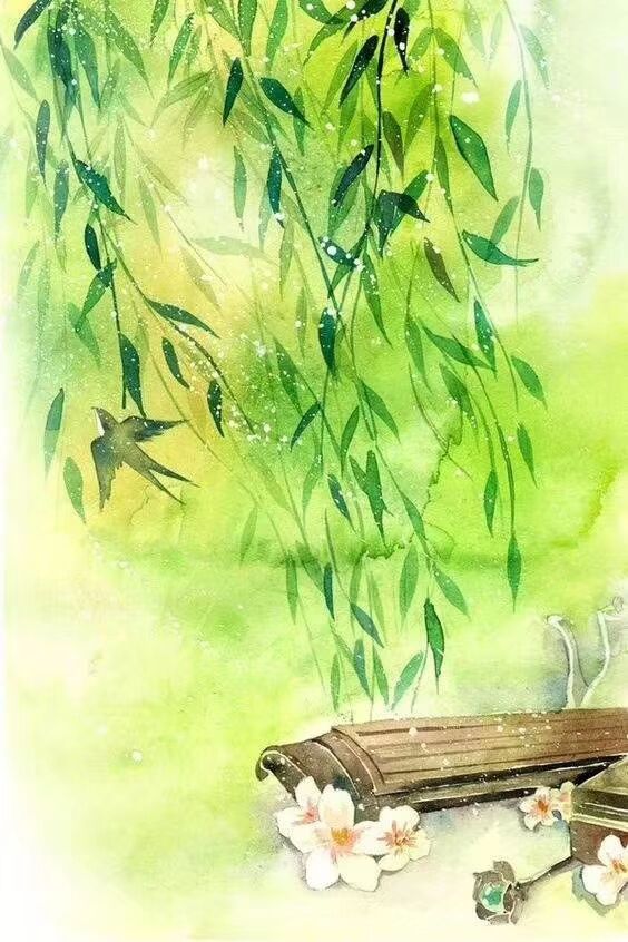 绿春.jpg