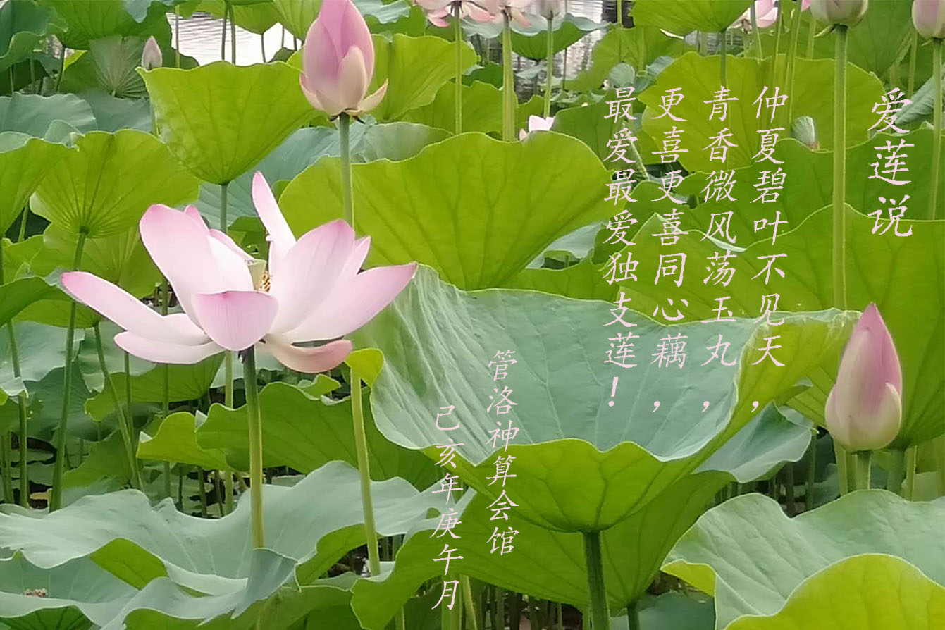 未标题-1.jpg