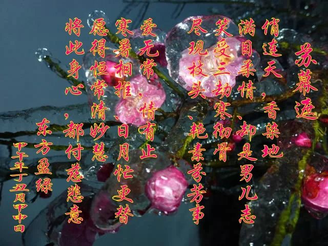 null3d181075256f6e40.jpg