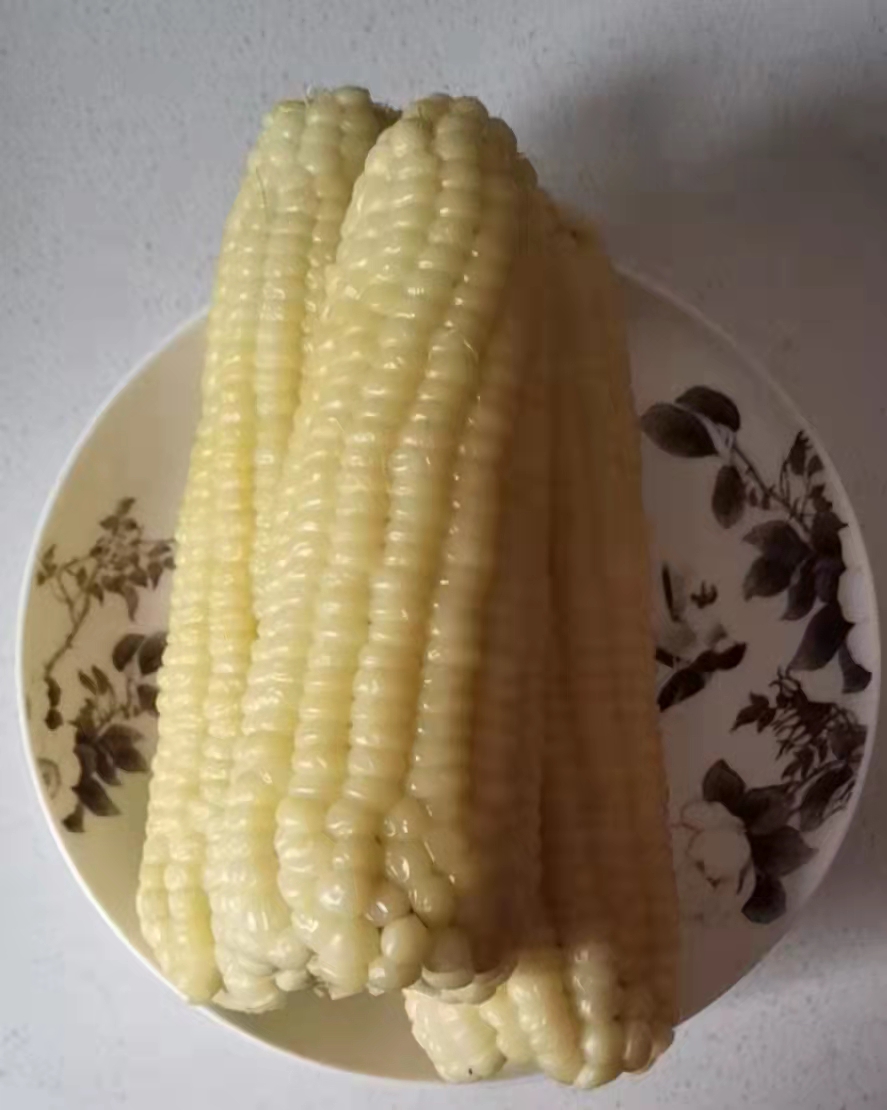 微信图片_20210919141720.jpg