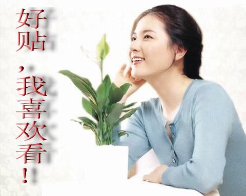 好贴.jpg