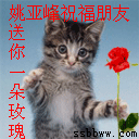 祝福朋友.gif
