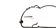未命名.gif
