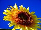u=1882251752,1184394942&fm=3&gp=41.jpg